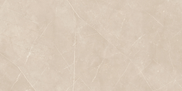 Керамический гранит NL01 60x120x10 Полир.